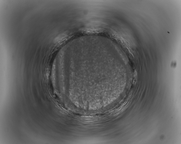 X0000097891300200804111007