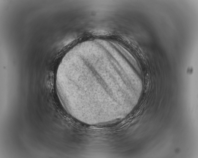 X0000097891301200804111007