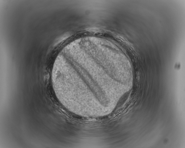 X0000097891302200804111007