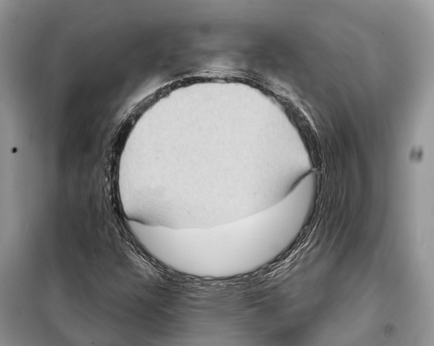 X0000097891304200804111007