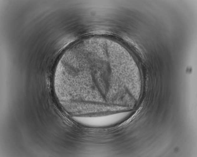 X0000097891305200804111007