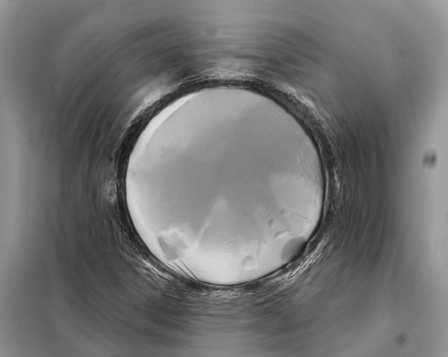 X0000097891306200804111007