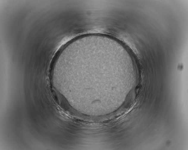 X0000097891308200804111007