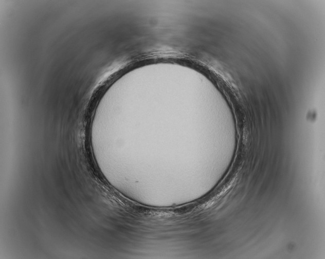 X0000097891309200804111007