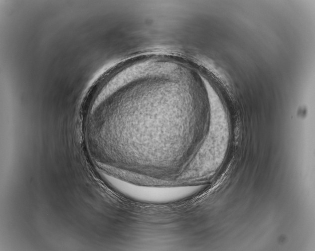 X0000097891310200804111007