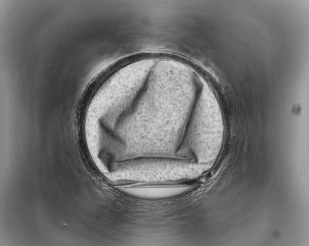 X0000097891311200804111007