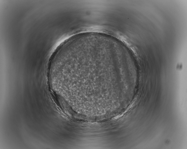 X0000097891312200804111007