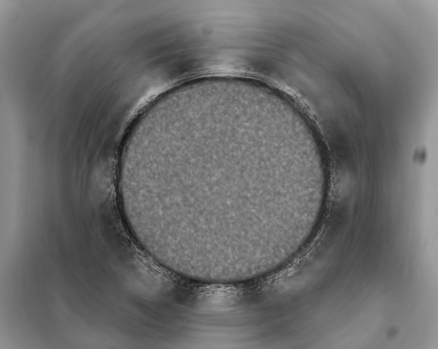 X0000097891314200804111007