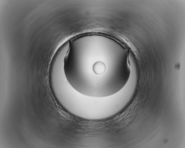 X0000097891316200804111007