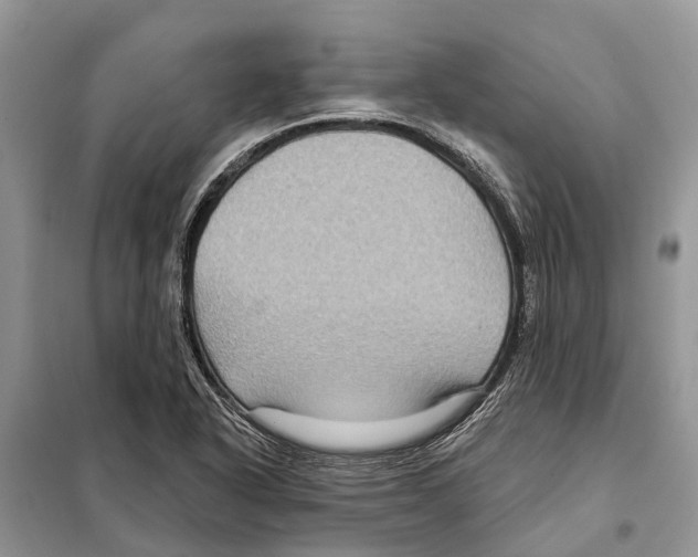 X0000097891318200804111007