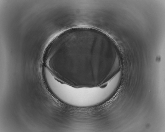 X0000097891319200804111007