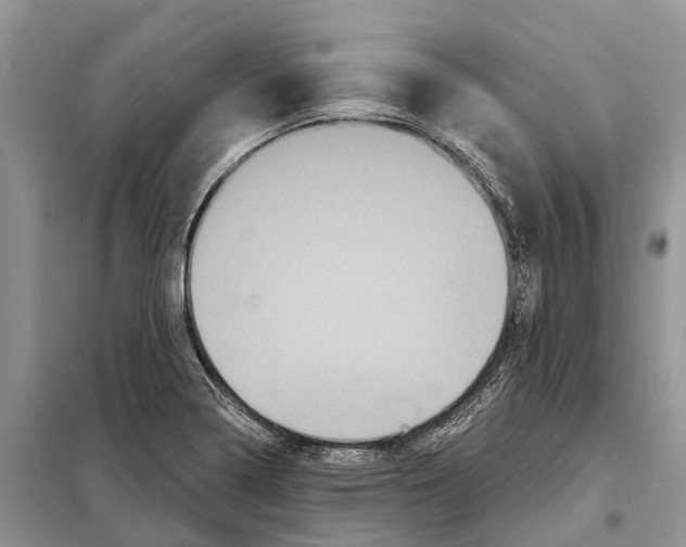 X0000097891322200804111007