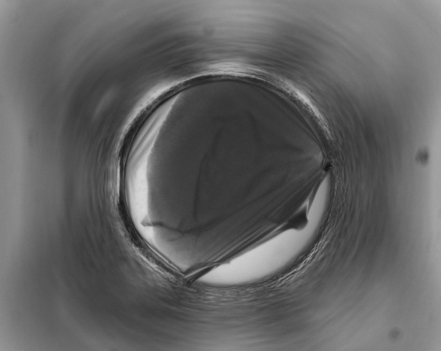 X0000097891323200804111007