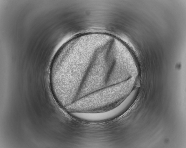 X0000097891325200804111007