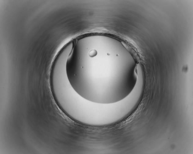 X0000097891326200804111007