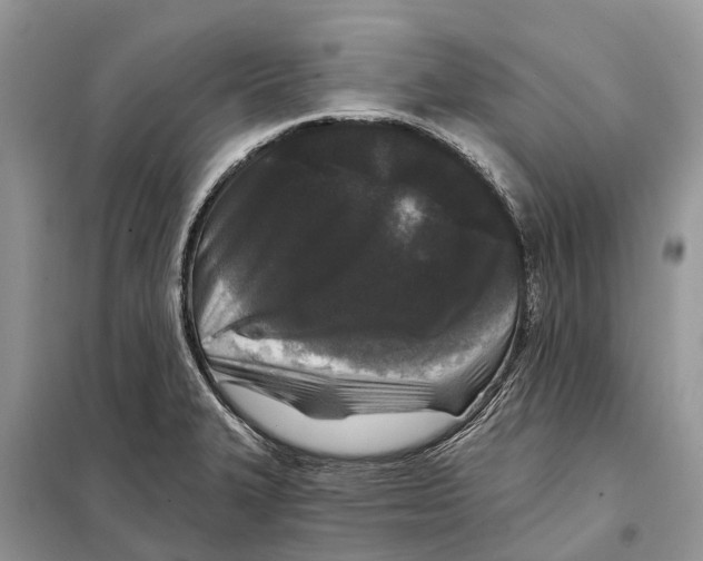 X0000097891327200804111007