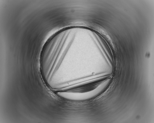 X0000097891328200804111007