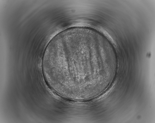 X0000097891329200804111007