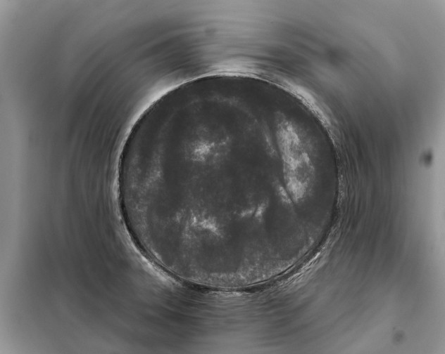 X0000097891331200804111007