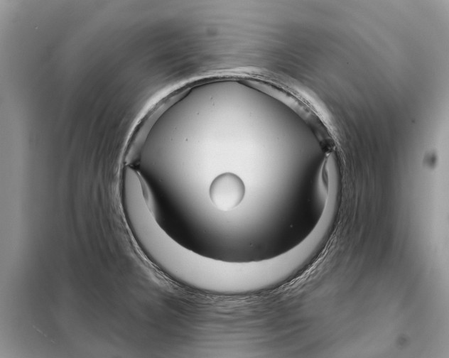 X0000097891332200804111007