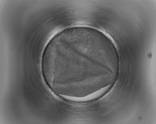 X0000097891333200804111007