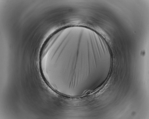 X0000097891334200804111007