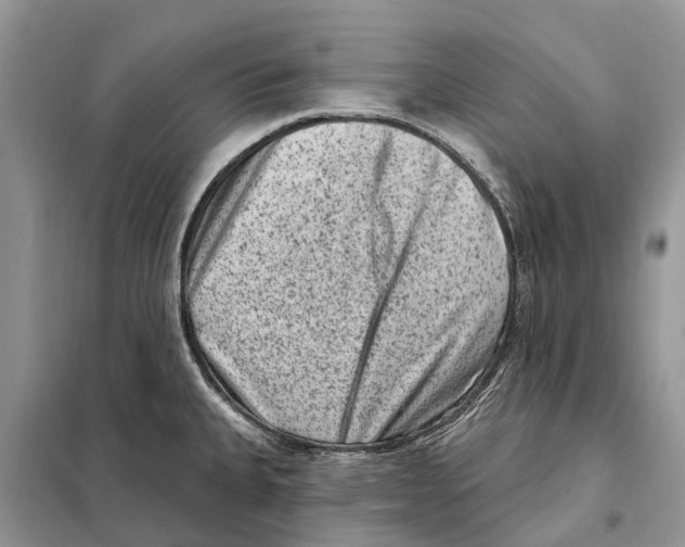 X0000097891335200804111007