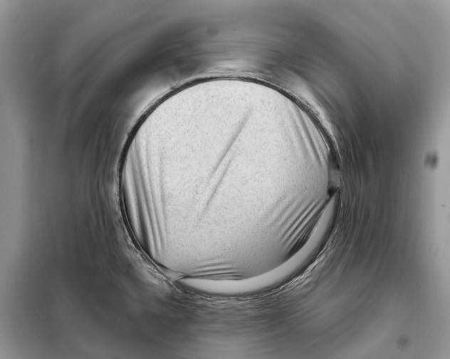 X0000097891336200804111007