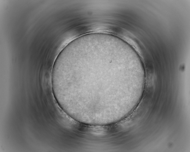 X0000097891338200804111007