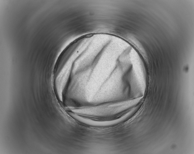 X0000097891340200804111007