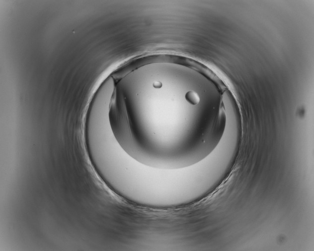 X0000097891341200804111007