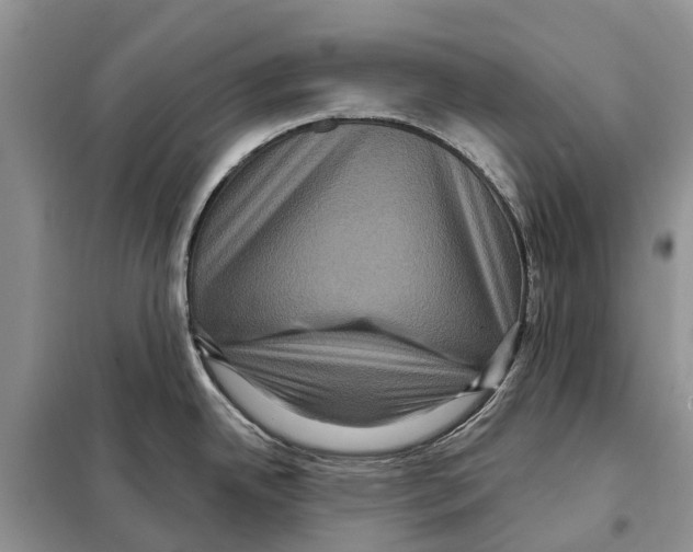 X0000097891342200804111007