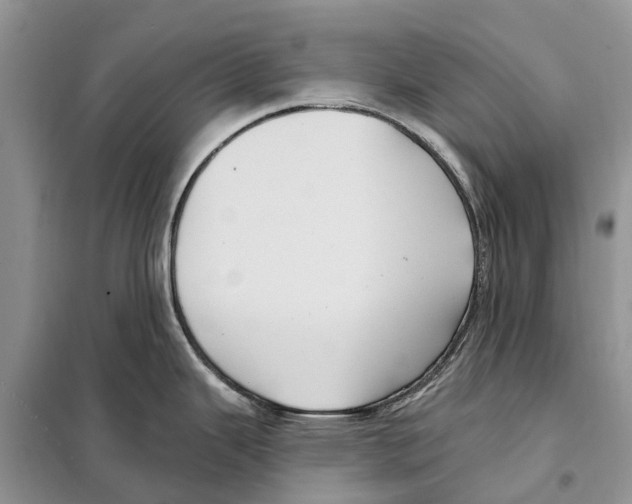 X0000097891343200804111008