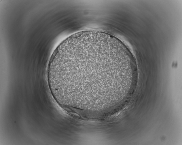 X0000097891344200804111008