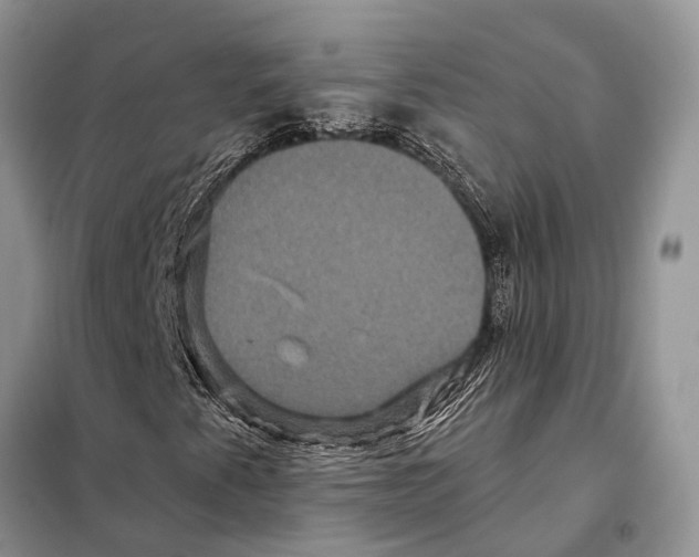 X0000097891345200804111007