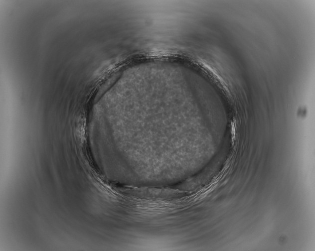 X0000097891348200804111007