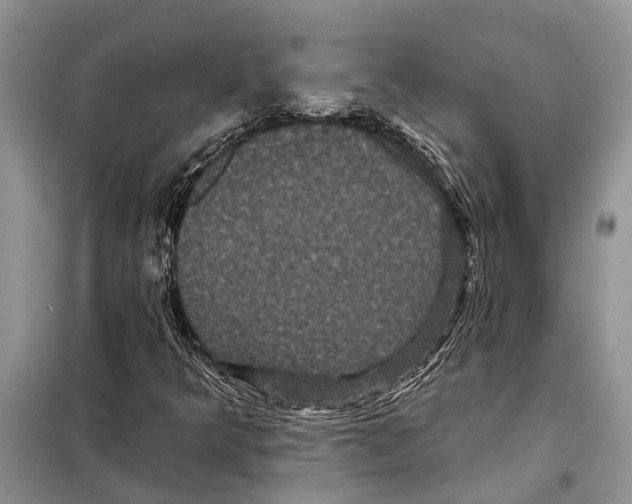 X0000097891349200804111007