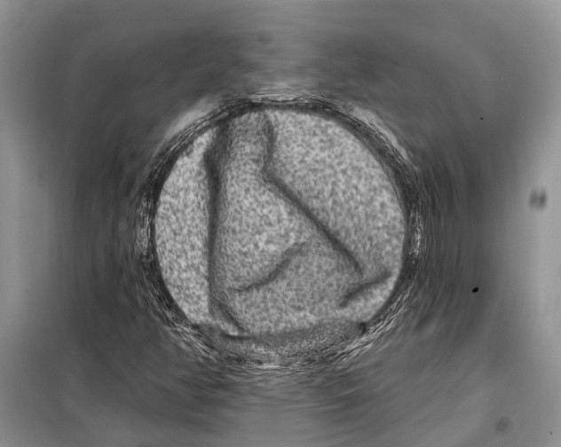 X0000097891350200804111007