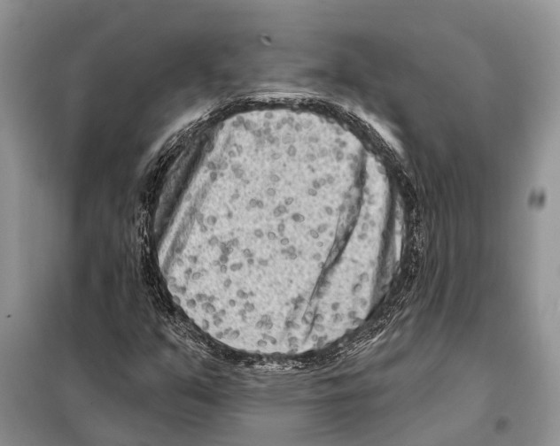 X0000097891351200804111007