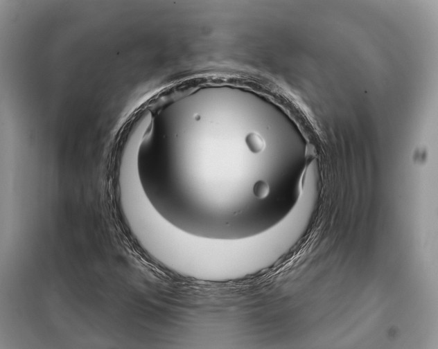 X0000097891352200804111007