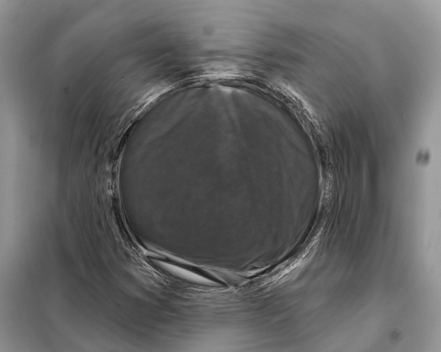 X0000097891353200804111007