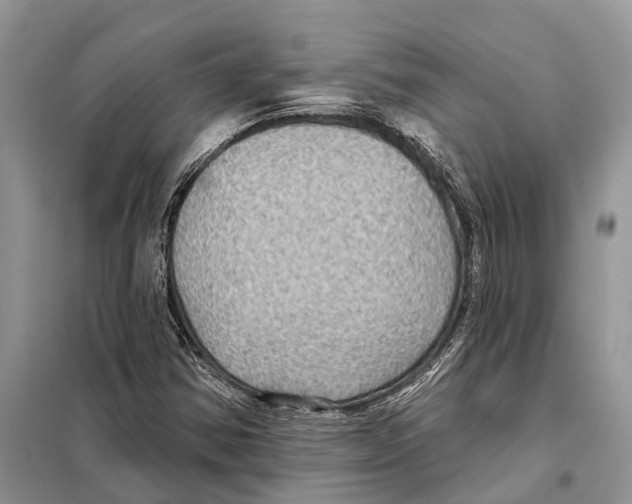 X0000097891354200804111007