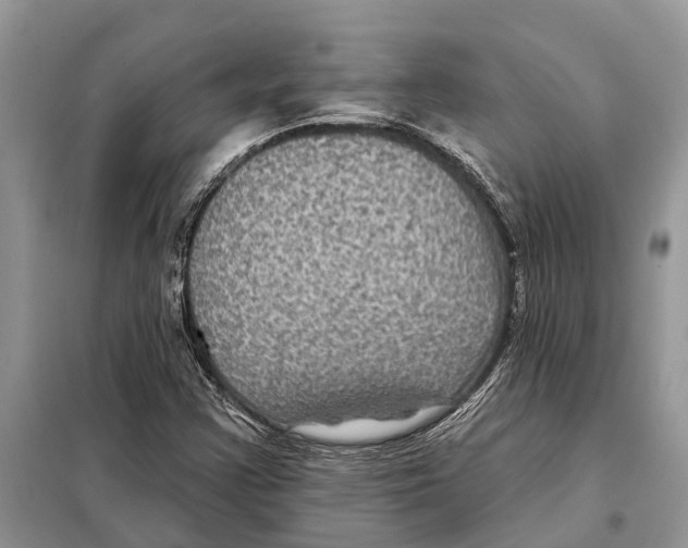 X0000097891355200804111007