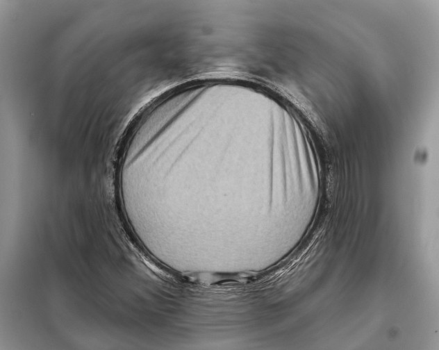 X0000097891356200804111007