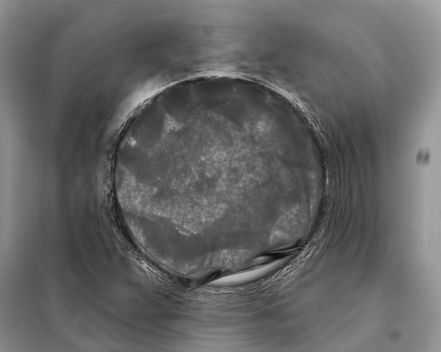 X0000097891359200804111007