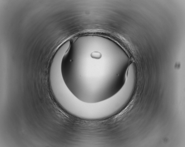 X0000097891361200804111007