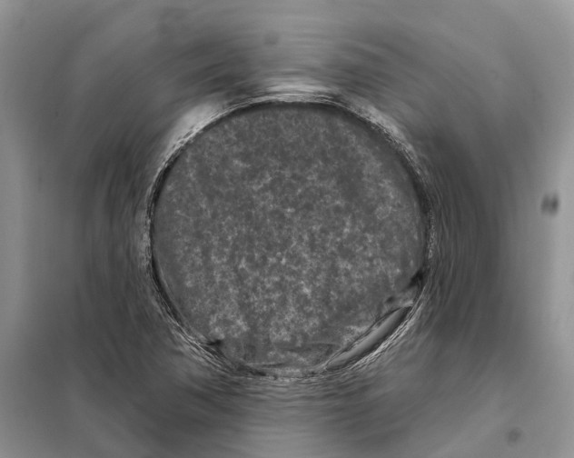 X0000097891362200804111007