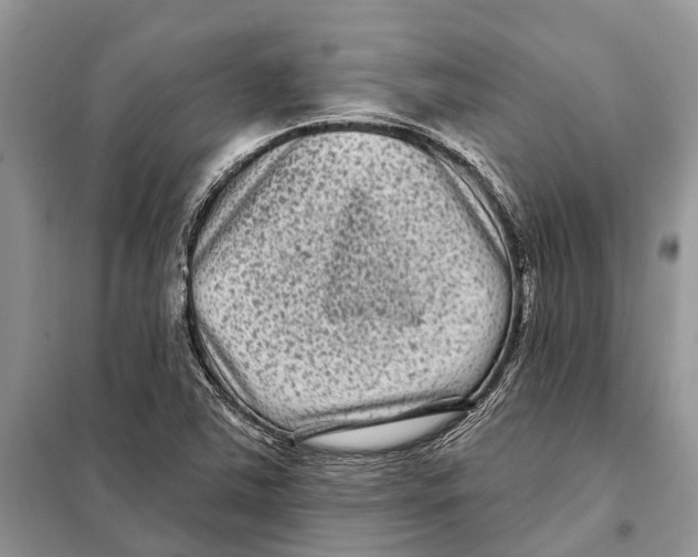 X0000097891363200804111007