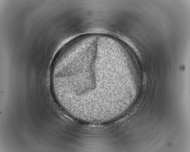 X0000097891364200804111007