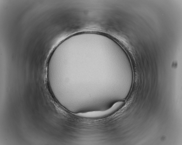 X0000097891366200804111007